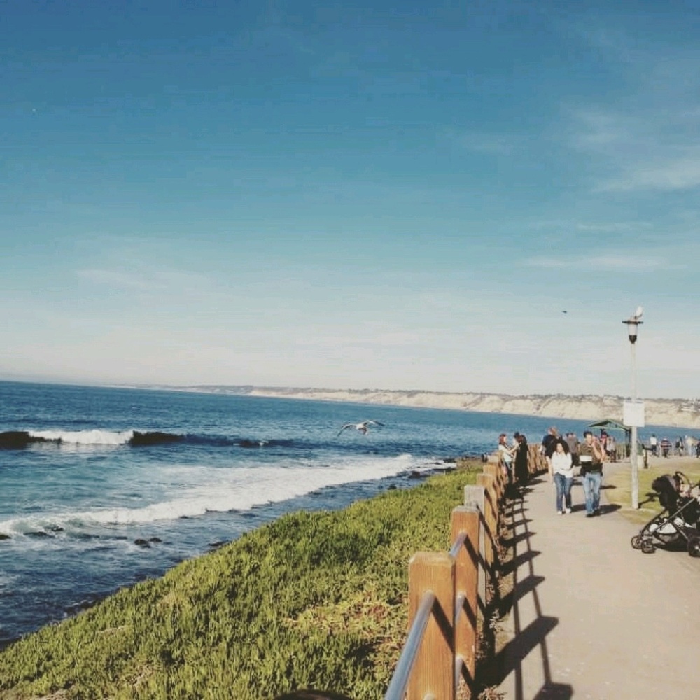 Meet your Posher, Lucas